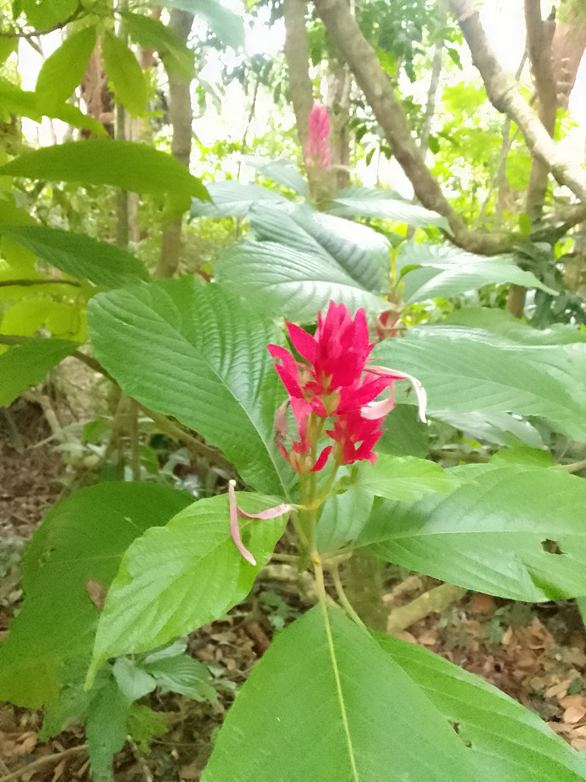 img_20230412_163246.jpg img_20230412_163246.jpg