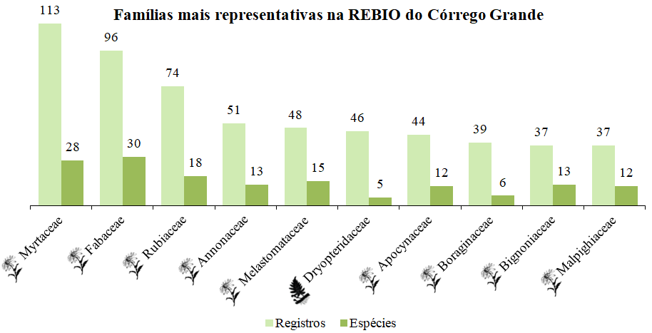 unidade_conservacao:espirito_santo:image264.png