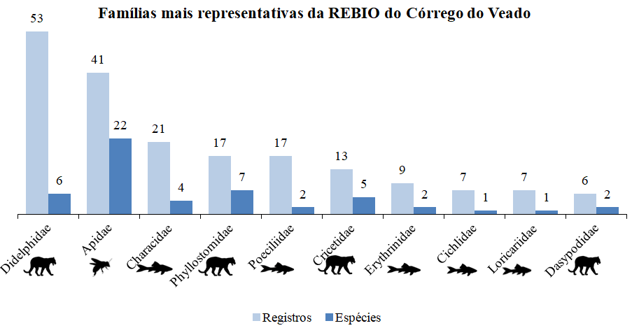 unidade_conservacao:espirito_santo:image271.png